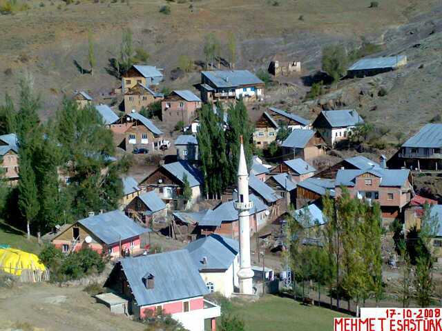Aydıntepe Alaca Köyü Resimleri 5