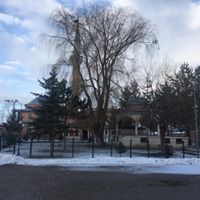 Aydıntepe Aşağıkırzı Köyü Resimleri 16