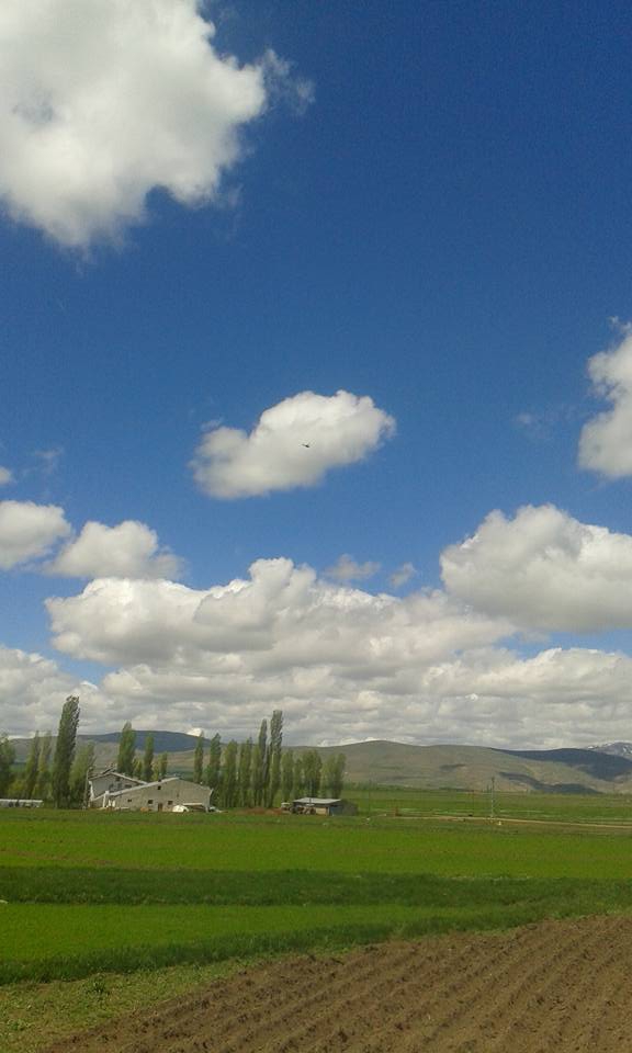 Aydıntepe Aşağıkırzı Köyü Resimleri 4