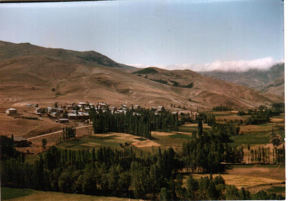 Aydıntepe Çiğdemlik Köyü Resimleri 1