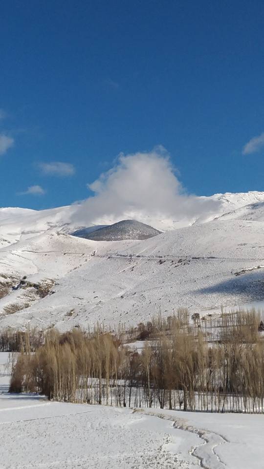 Aydıntepe Çiğdemlik Köyü Resimleri 3