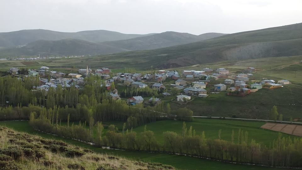 Aydıntepe Çiğdemlik Köyü Resimleri 6