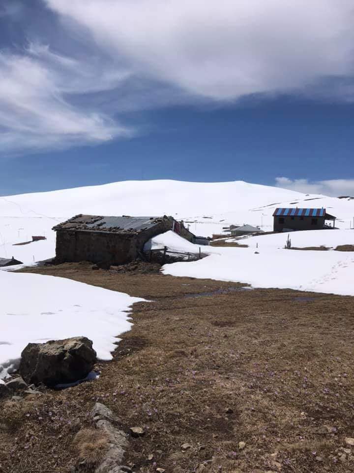 Aydıntepe Dumlu Köyü Resimleri 10