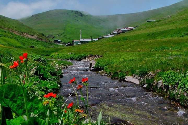 Aydıntepe Dumlu Köyü Resimleri 11