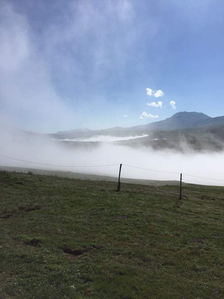 Aydıntepe Dumlu Köyü Resimleri 14