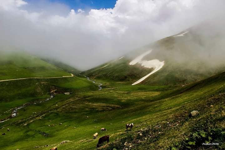 Aydıntepe Dumlu Köyü Resimleri 16