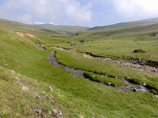 Aydıntepe Dumlu Köyü Resimleri 7