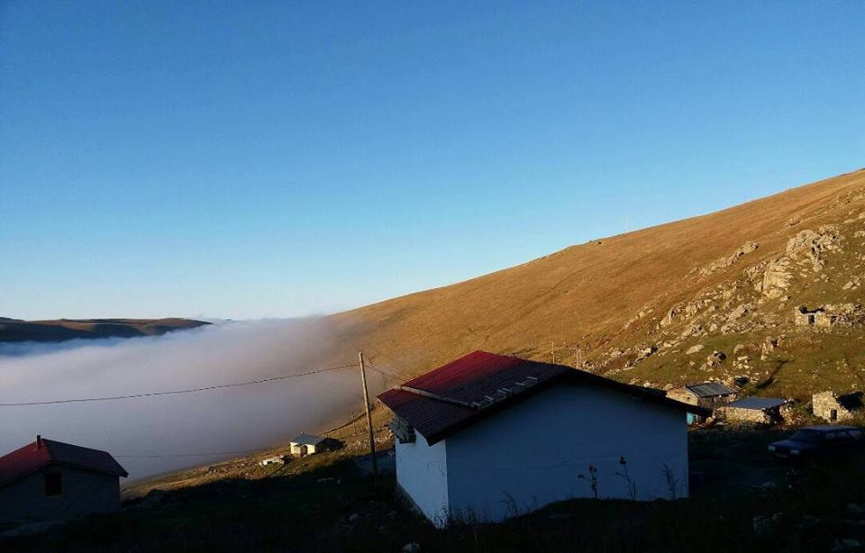 Aydıntepe Kavlatan Köyü Resimleri 6