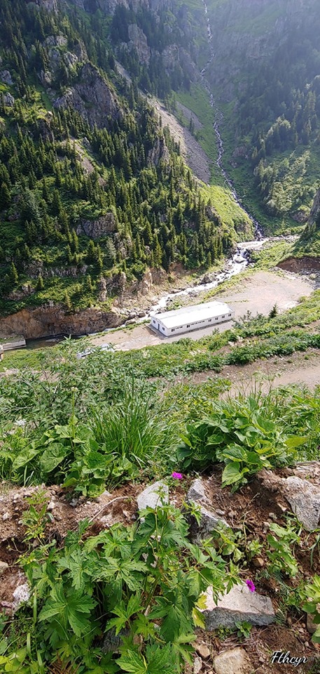 Aydıntepe Kavlatan Köyü Resimleri 7