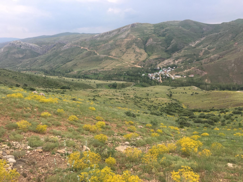 Aydıntepe Pınargözü Köyü Resimleri 4