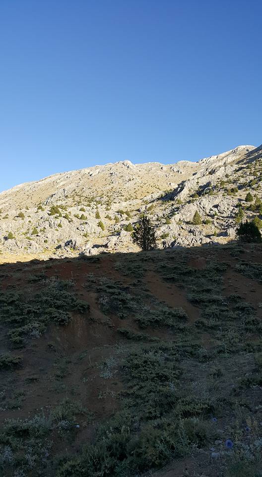 Ekinözü Ambar Köyü Resimleri 2