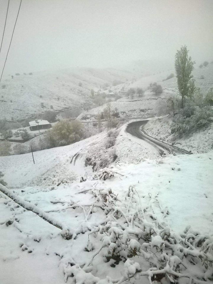 Ekinözü Ambar Köyü Resimleri 5