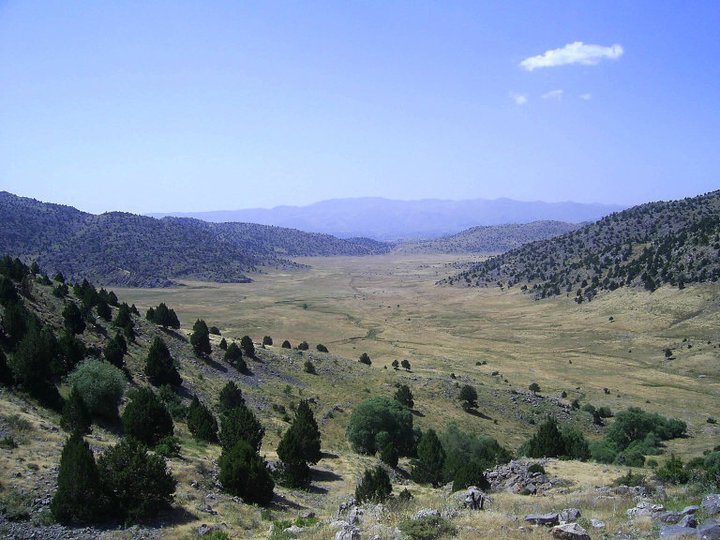 Ekinözü Ambar Köyü Resimleri 8