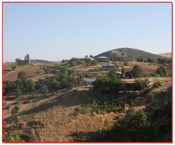 Ekinözü Ambar Köyü Resimleri 9