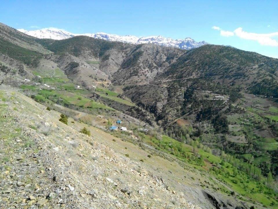 Ekinözü Demirlik Köyü Resimleri 10