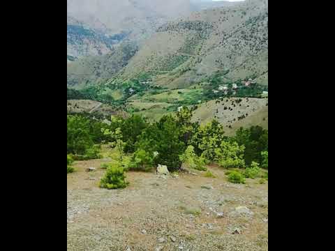 Ekinözü Demirlik Köyü Resimleri 6