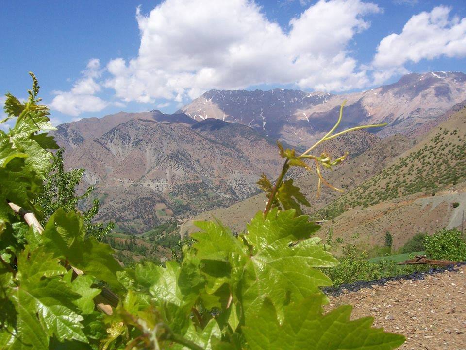 Ekinözü Demirlik Köyü Resimleri 9