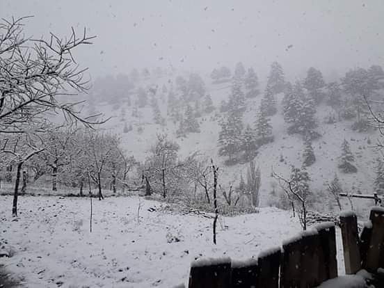 Ekinözü Türkmenle Köyü Resimleri 1