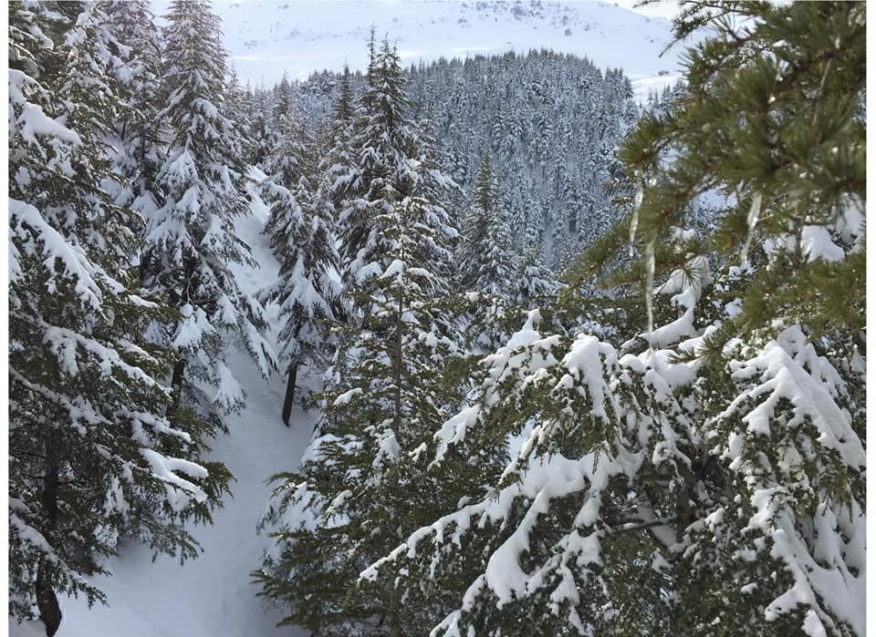 Ekinözü Türkmenle Köyü Resimleri 9