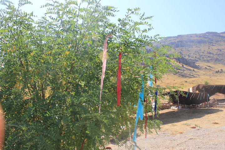 Nurhak Barış Köyü Resimleri 11