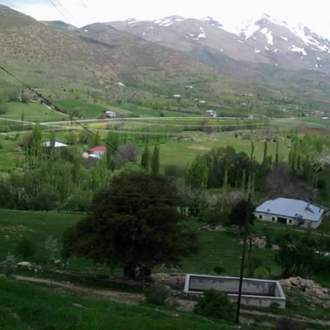 Nurhak Barış Köyü Resimleri 5