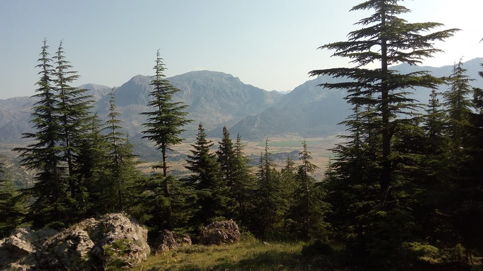 Andırın Akgümüş Köyü Resimleri 2