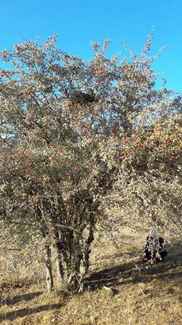 Andırın Akgümüş Köyü Resimleri 4