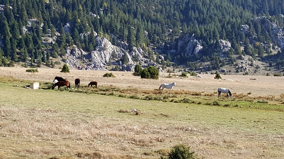 Andırın Akgümüş Köyü Resimleri 9
