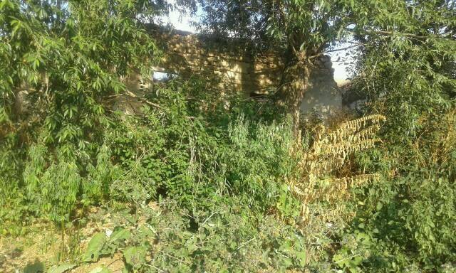 Demirözü Akyaka Köyü Resimleri 4