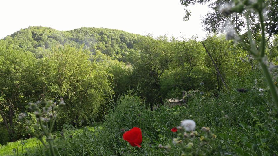 Andırın Alameşe  Köyü Resimleri 10