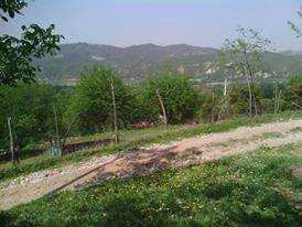 Andırın Alameşe  Köyü Resimleri 6