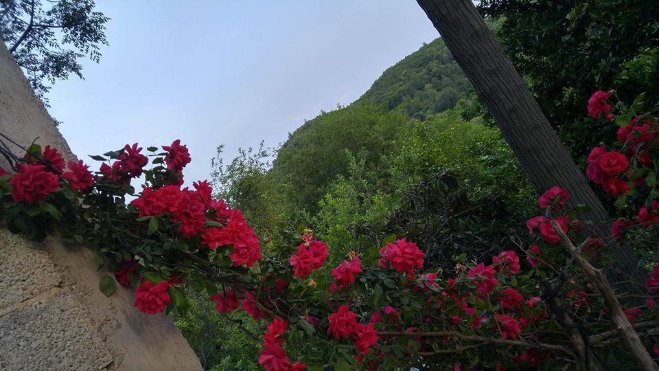 Andırın Alameşe  Köyü Resimleri 8