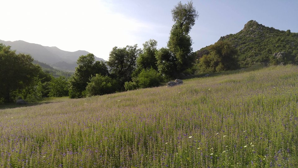 Andırın Alameşe  Köyü Resimleri 9