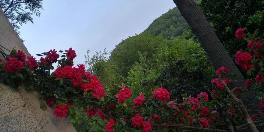 Andırın Alameşe  Köyü Resimleri