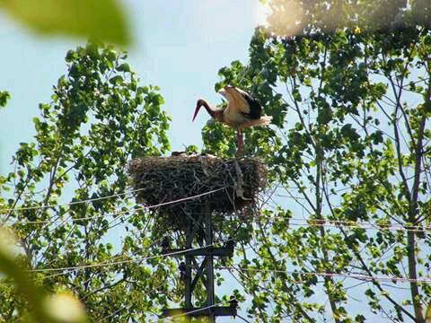 Andırın Altınboğa Köyü Resimleri 6
