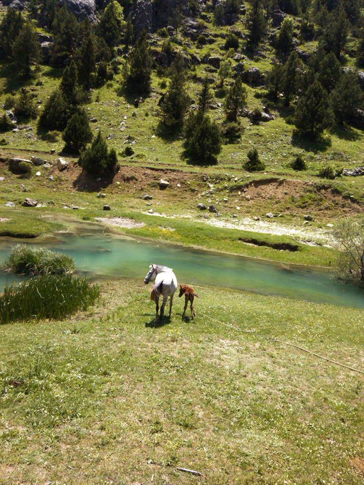 Andırın Altınyayla Köyü Resimleri 6