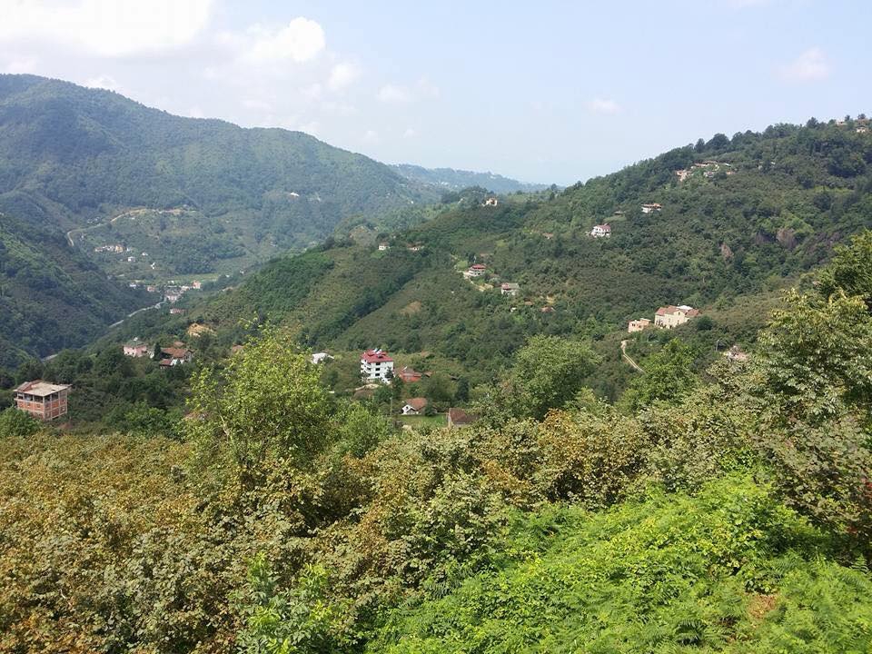 Sürmene Dirlik Köyü Resimleri 100