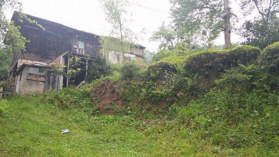 Sürmene Dirlik Köyü Resimleri 102