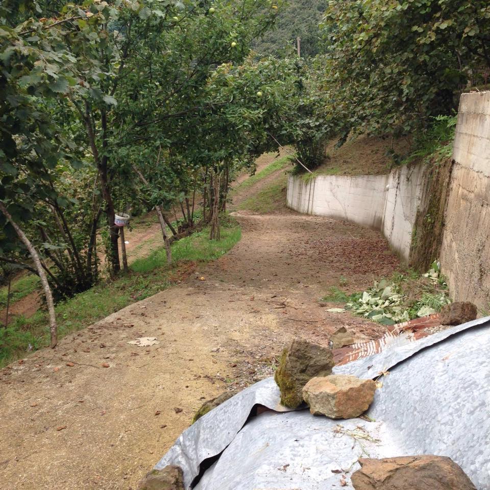 Sürmene Dirlik Köyü Resimleri 103