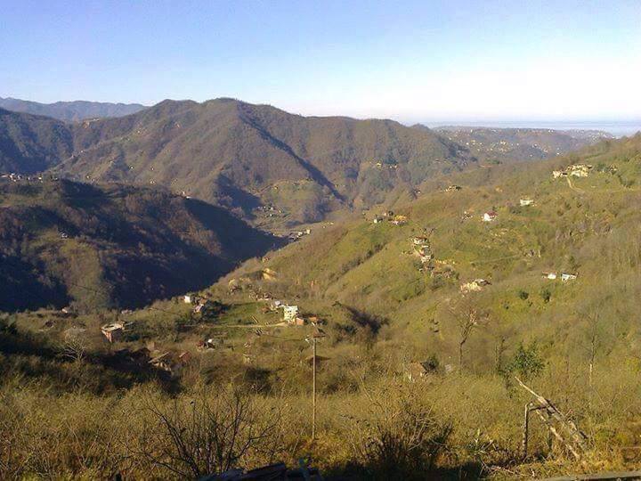 Sürmene Dirlik Köyü Resimleri 11