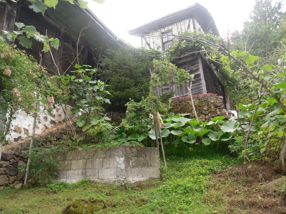 Sürmene Dirlik Köyü Resimleri 110