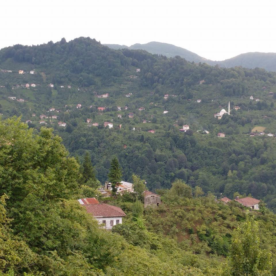 Sürmene Dirlik Köyü Resimleri 117