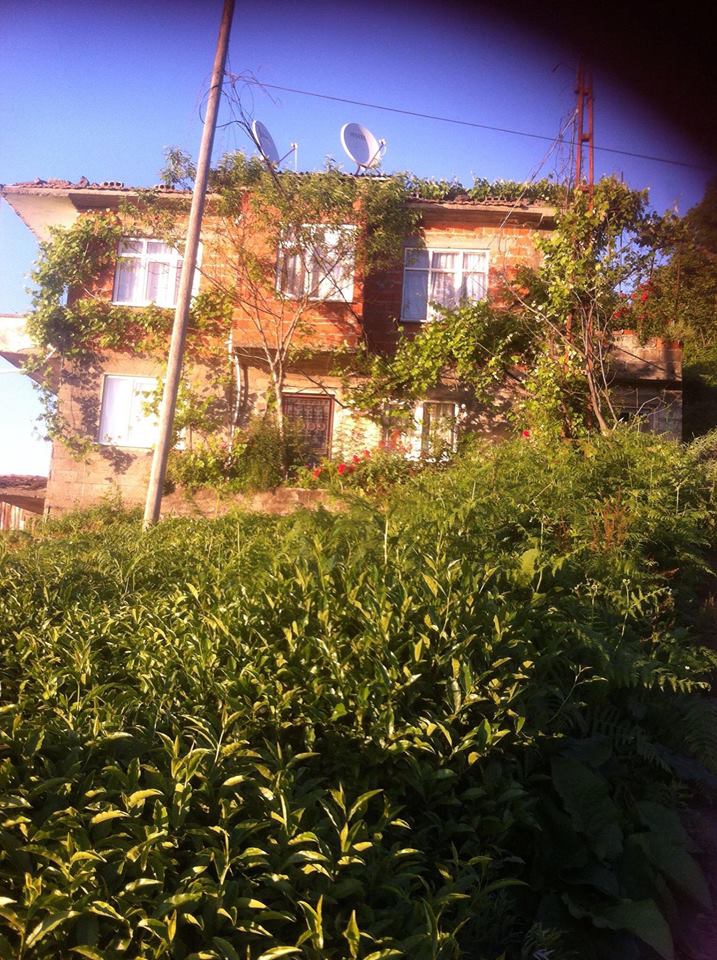 Sürmene Dirlik Köyü Resimleri 118