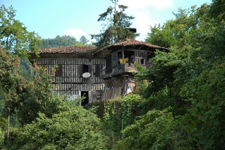 Sürmene Dirlik Köyü Resimleri 121