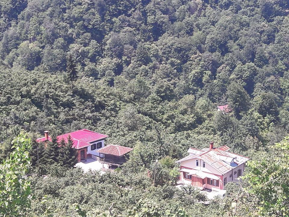 Sürmene Dirlik Köyü Resimleri 126