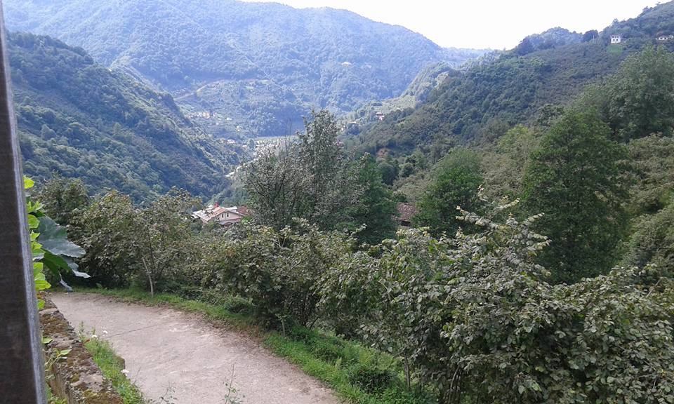 Sürmene Dirlik Köyü Resimleri 21