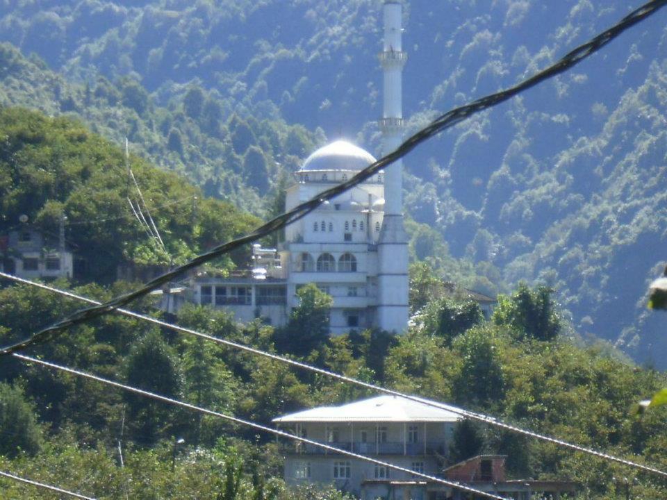 Sürmene Dirlik Köyü Resimleri 25