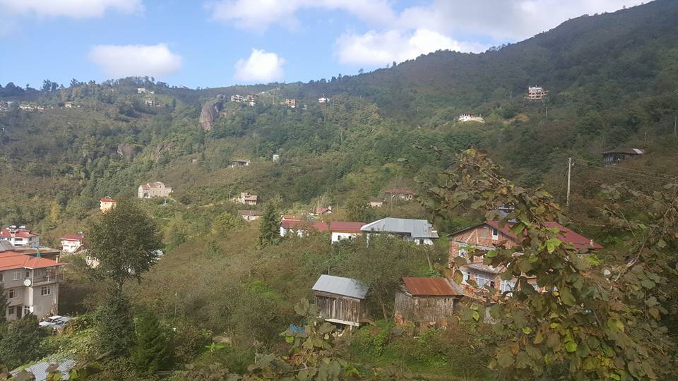 Sürmene Dirlik Köyü Resimleri 30