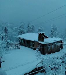 Sürmene Dirlik Köyü Resimleri 34