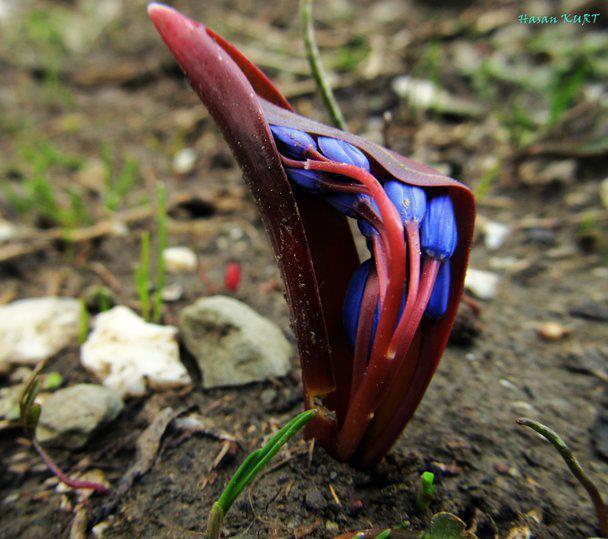 Sürmene Dirlik Köyü Resimleri 35